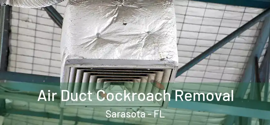 Air Duct Cockroach Removal Sarasota - FL