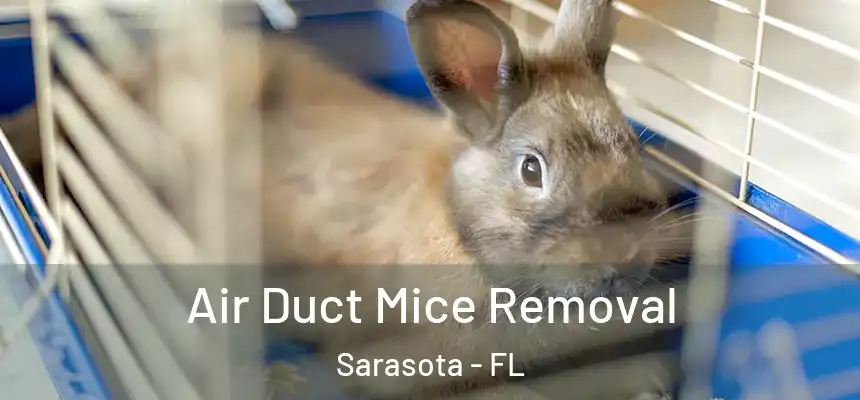 Air Duct Mice Removal Sarasota - FL