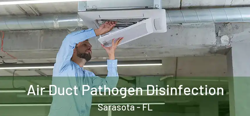 Air Duct Pathogen Disinfection Sarasota - FL