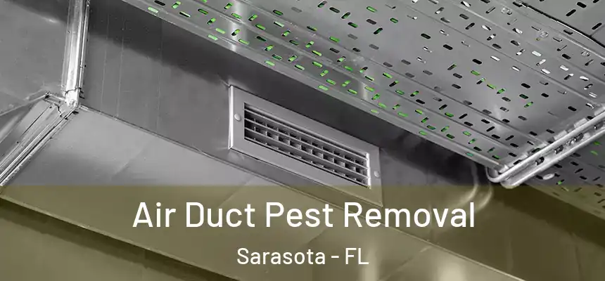 Air Duct Pest Removal Sarasota - FL