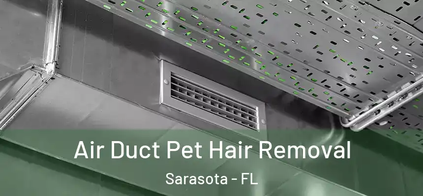 Air Duct Pet Hair Removal Sarasota - FL