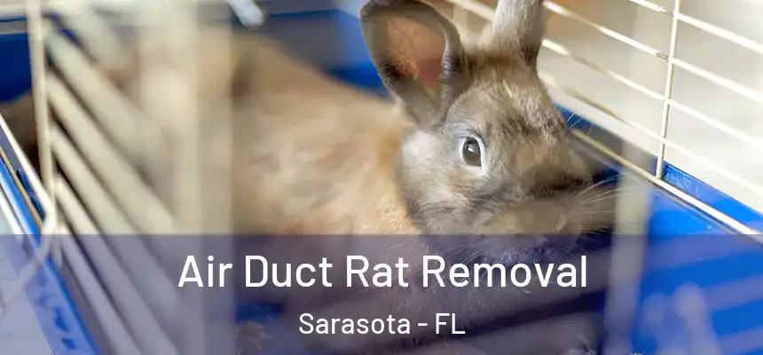 Air Duct Rat Removal Sarasota - FL