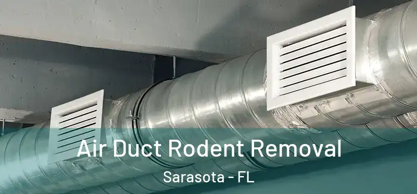 Air Duct Rodent Removal Sarasota - FL