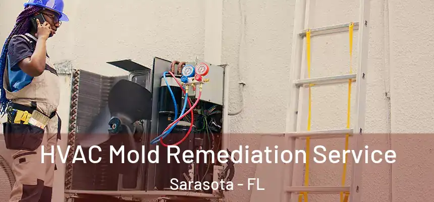 HVAC Mold Remediation Service Sarasota - FL