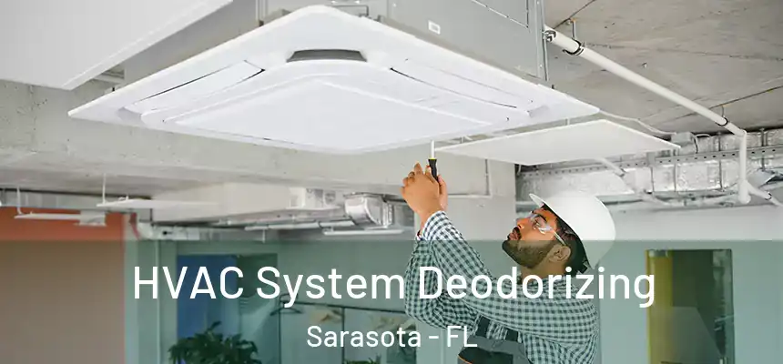 HVAC System Deodorizing Sarasota - FL
