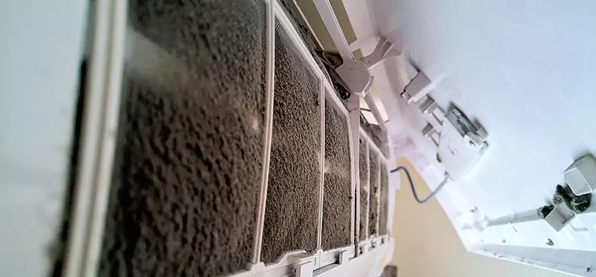 Preventive Air Duct Bacteria Removal in Sarasota