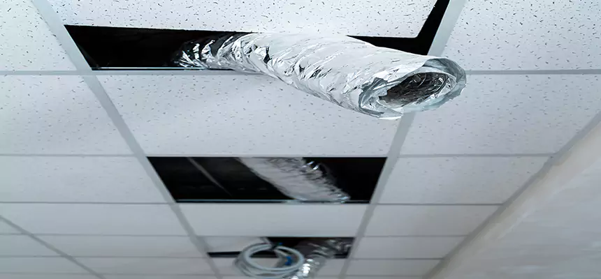 Affordable HVAC Sanitizing After Pest Removal in Sarasota