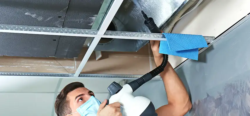 Our Air Duct Rodent Removal Services in Sarasota, FL