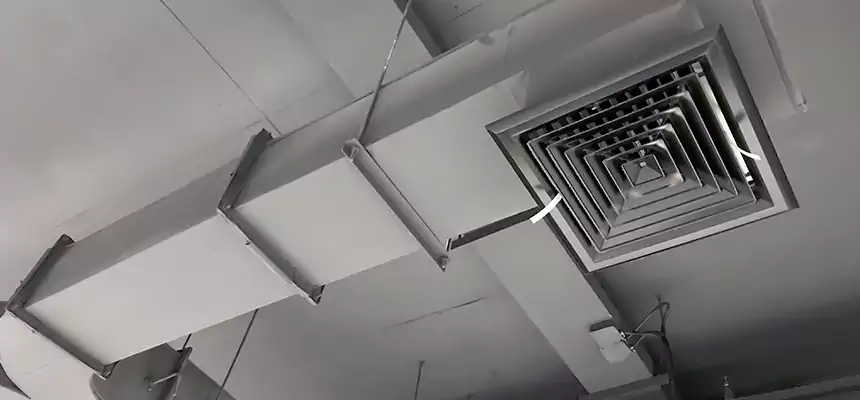 Restorative Allergy Relief Vent Cleaning – Coil, Blower & Housing Detail in Sarasota
