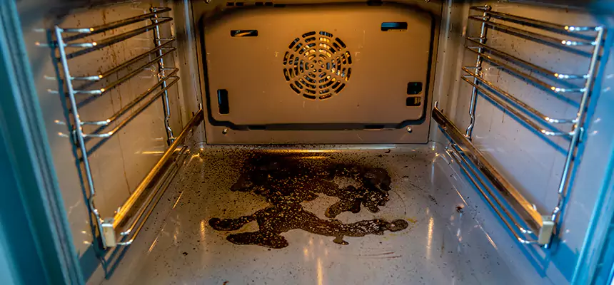 Our Dryer Vent Mold Cleaning Services in Sarasota, FL
