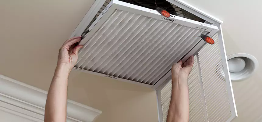 Our Insect Removal from Air Ducts Services in Sarasota, FL