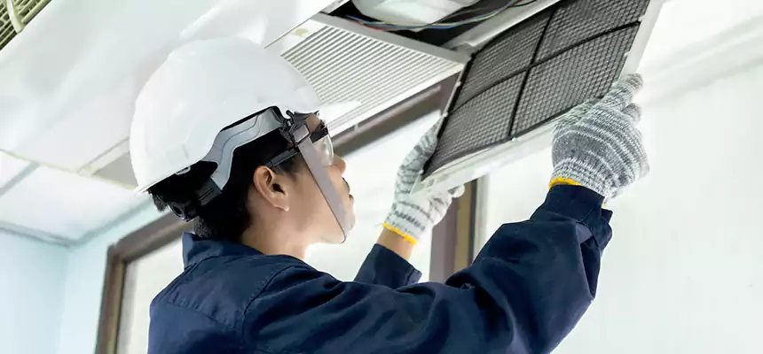 Our Mold & Mildew Removal from Air Ducts Services in Sarasota, FL