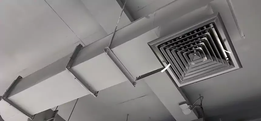 Our Pest Removal From Ducts Services in Sarasota, FL
