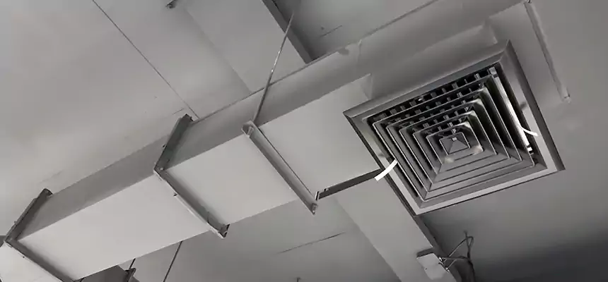 Our Rodent Droppings In Vents Services in Sarasota, FL