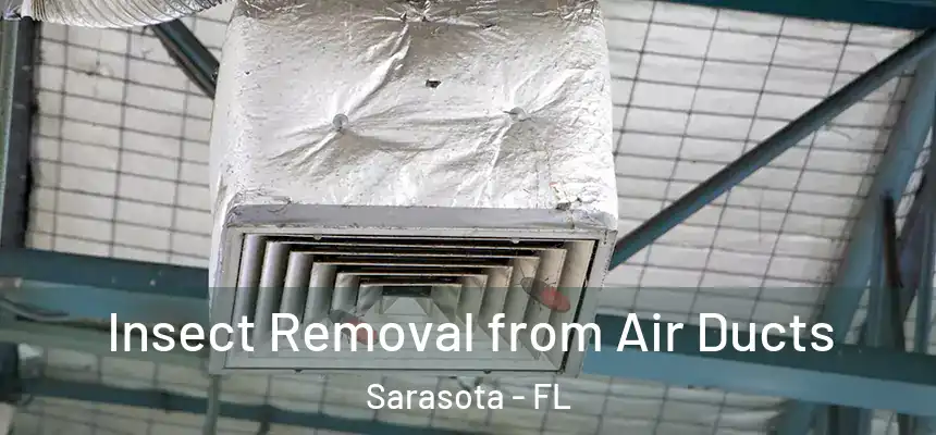 Insect Removal from Air Ducts Sarasota - FL