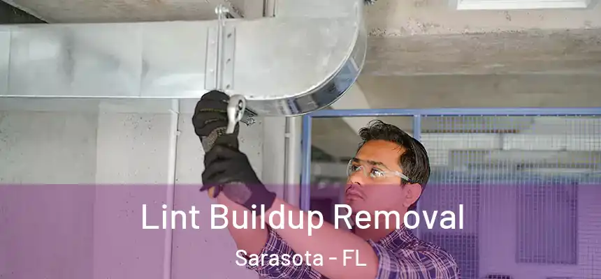Lint Buildup Removal Sarasota - FL