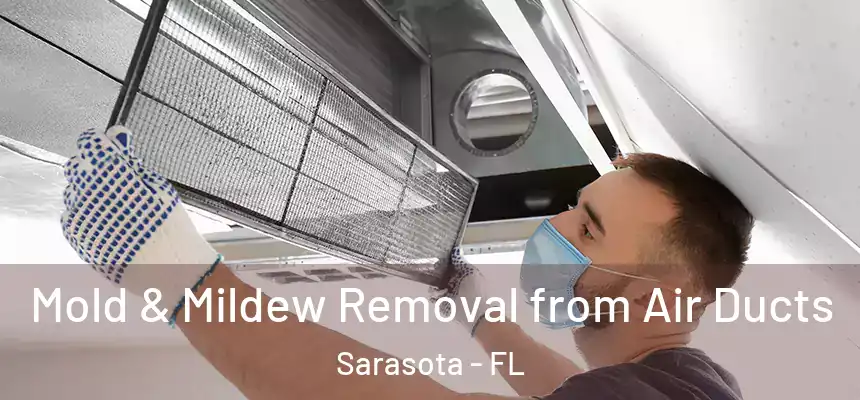 Mold & Mildew Removal from Air Ducts Sarasota - FL