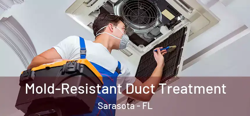 Mold-Resistant Duct Treatment Sarasota - FL