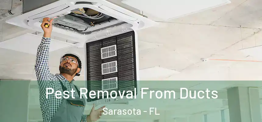 Pest Removal From Ducts Sarasota - FL