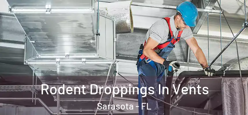 Rodent Droppings In Vents Sarasota - FL