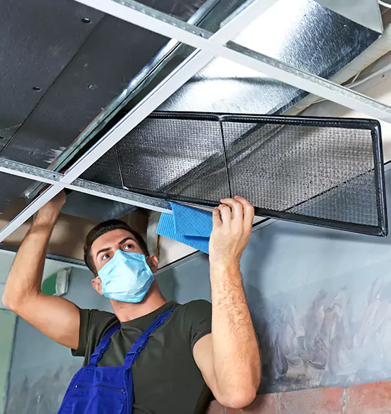 About Air Duct Bacteria Removal in Sarasota