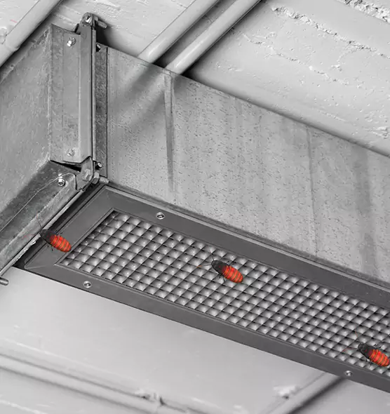 About Air Duct Cockroach Removal in Sarasota, FL