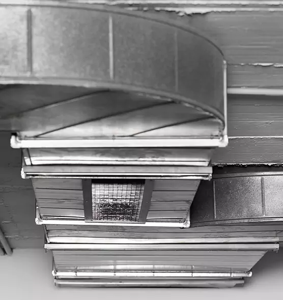 Professional Air Duct Pest Removal in Sarasota, FL