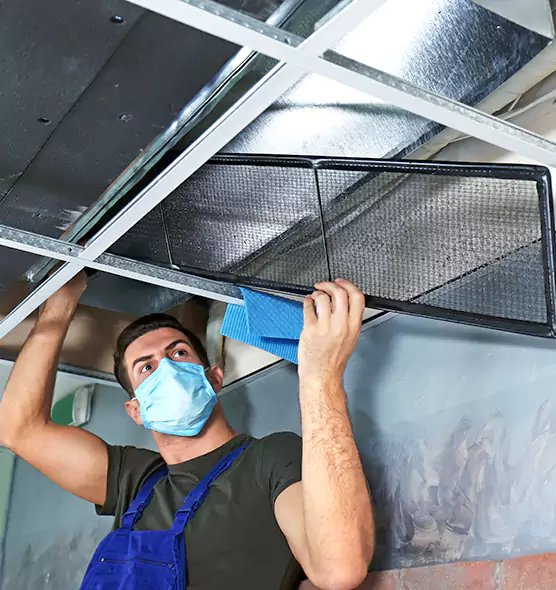 Professional Air Duct Pollen Cleaning in Sarasota, FL