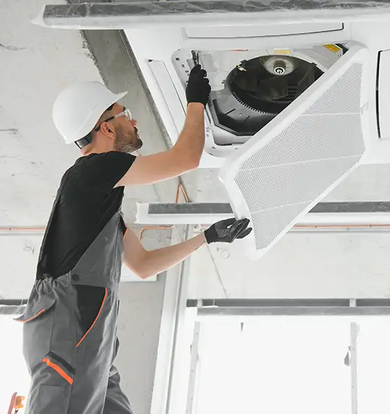 About Air Duct Rodent Removal in Sarasota, FL