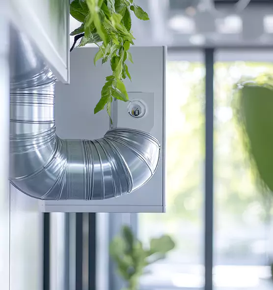Professional Eco-Safe Dryer Vent Cleaning in Sarasota, FL
