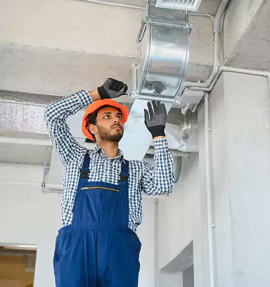 Affordable Lint Buildup Removal in Sarasota, FL