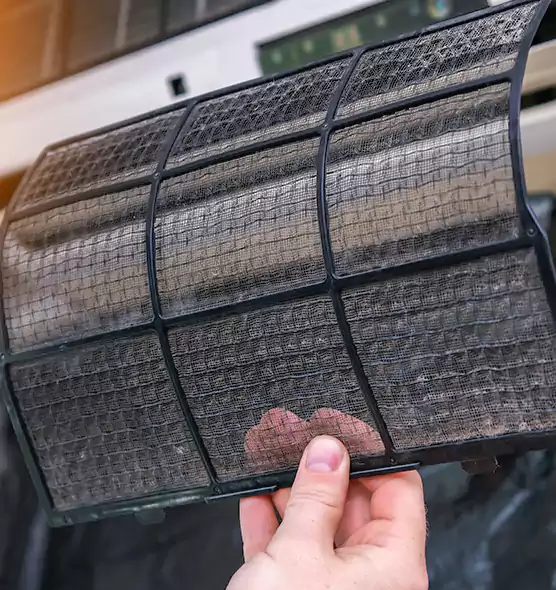 About Pet Dander Duct Cleaning in Sarasota, FL