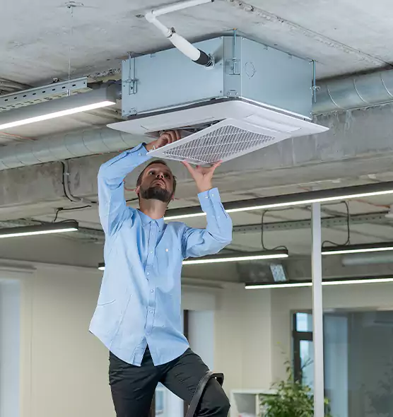 Advanced Rodent Droppings In Vents in Sarasota, FL